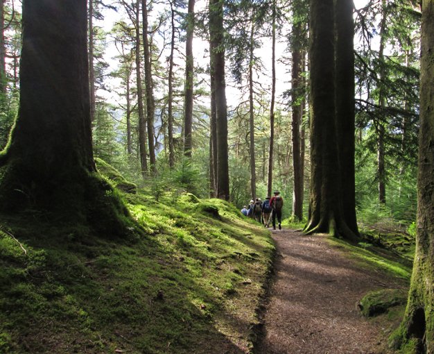 ARGYLL FOREST PARK