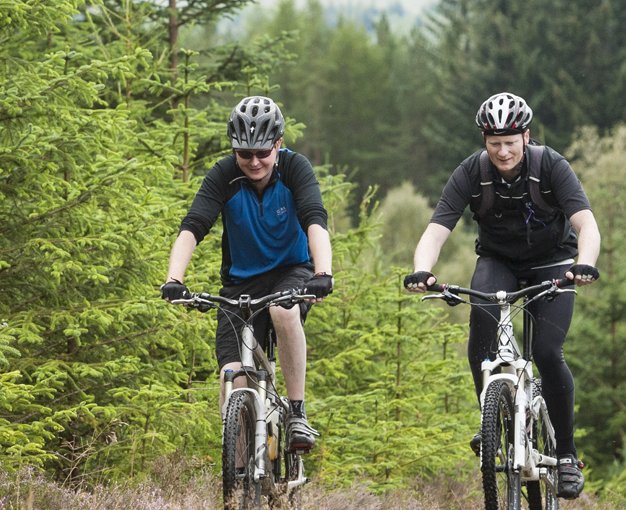 LAGGAN FOREST