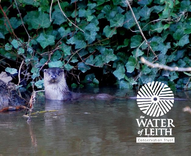 THE WATER OF LEITH CONSERVATION TRUST