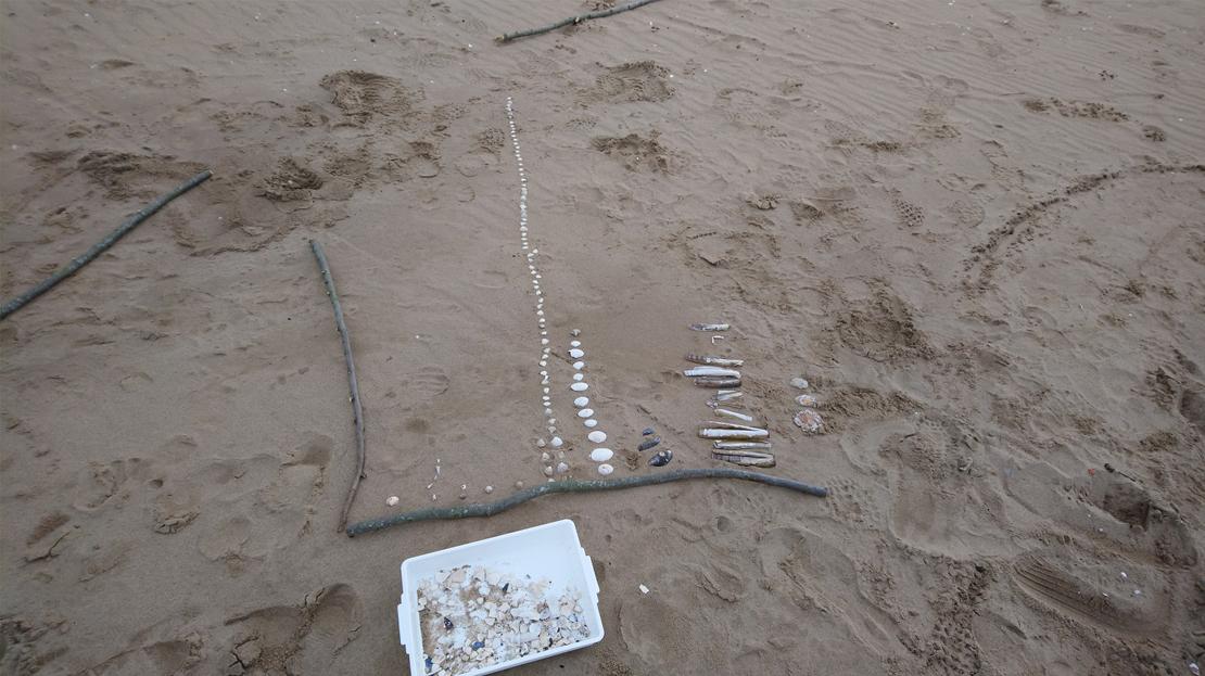 Making bar charts on Portobello beach image showing beach with pie charts being made using shells and driftwood