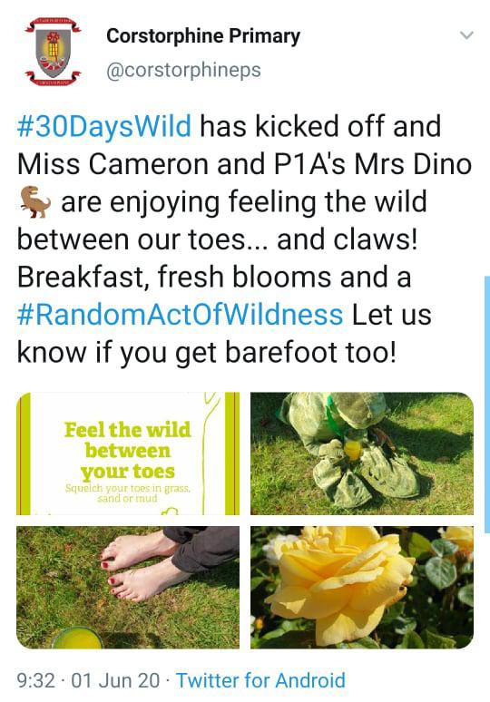 30 Days Wild is launched
