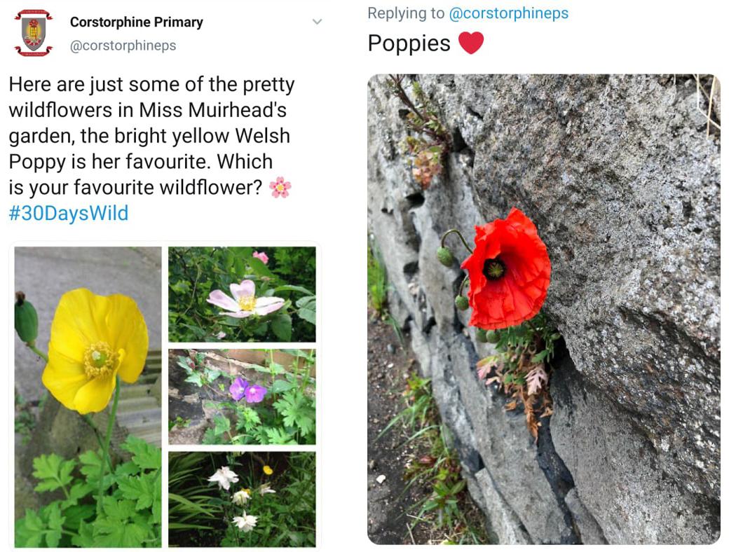 A teacher gets involved on our school Twitter, and a family’s response to a wild challenge set by one of our teachers via our school’s Twitter account