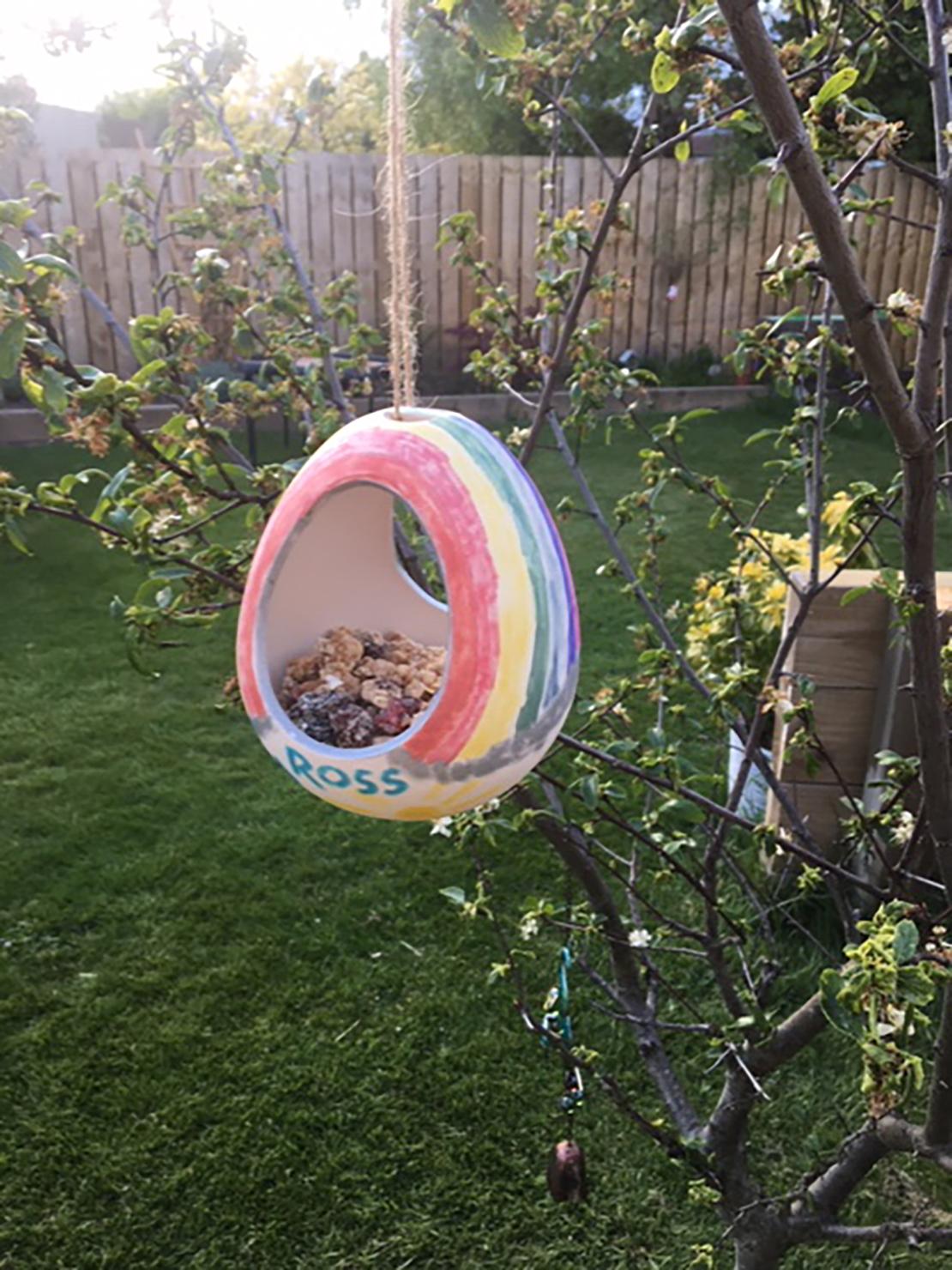 homemade bird feeding in the garden