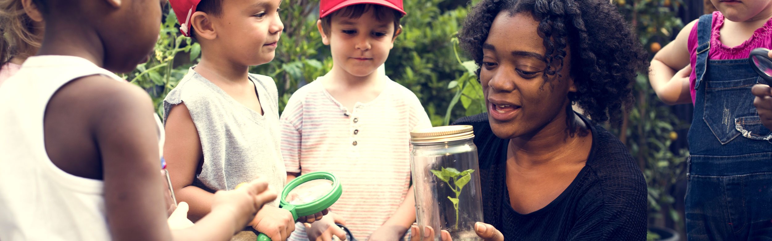 forest schools