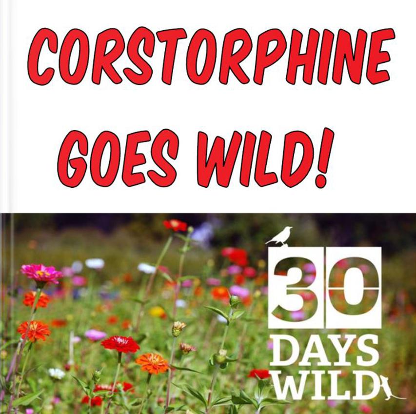 Corstorphine Goes Wild